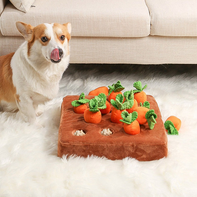 dog Carrot Plush Toy Interactive Toy Pulling Carrots Vegetable Fruit  Training