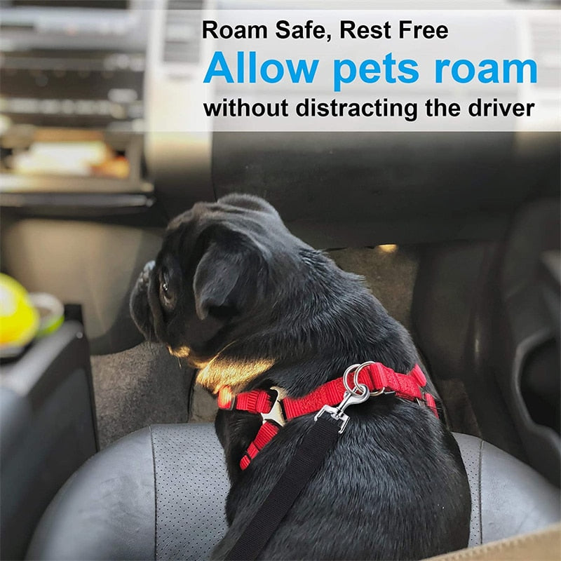 Diy dog hotsell seat belt