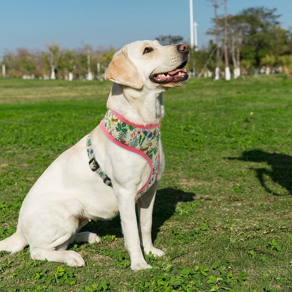 Printed Pet Harness