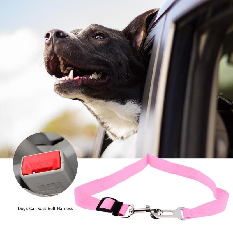 Dog/Cat Car Seat Belt ~ Adjustable!