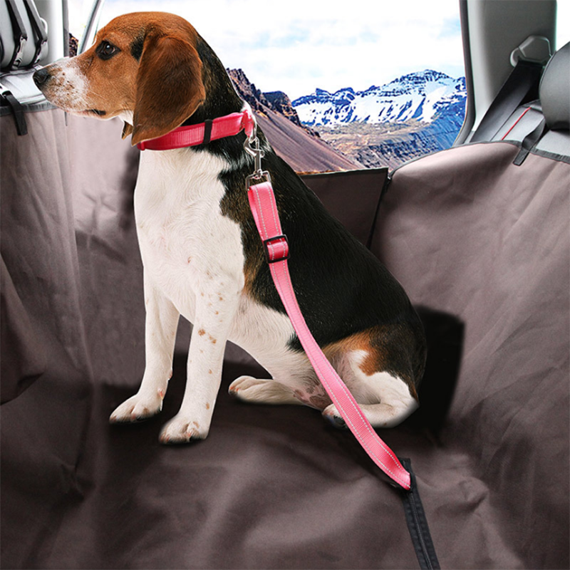 Dog/Cat Car Seat Belt ~ Adjustable!