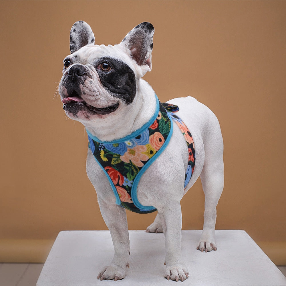 Printed Pet Harness