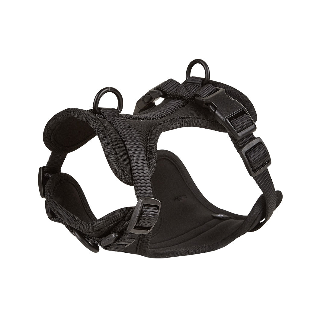 Dog Harness & Leash Set