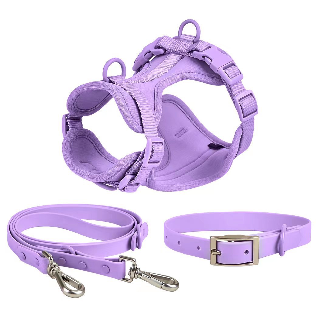 Dog Harness & Leash Set