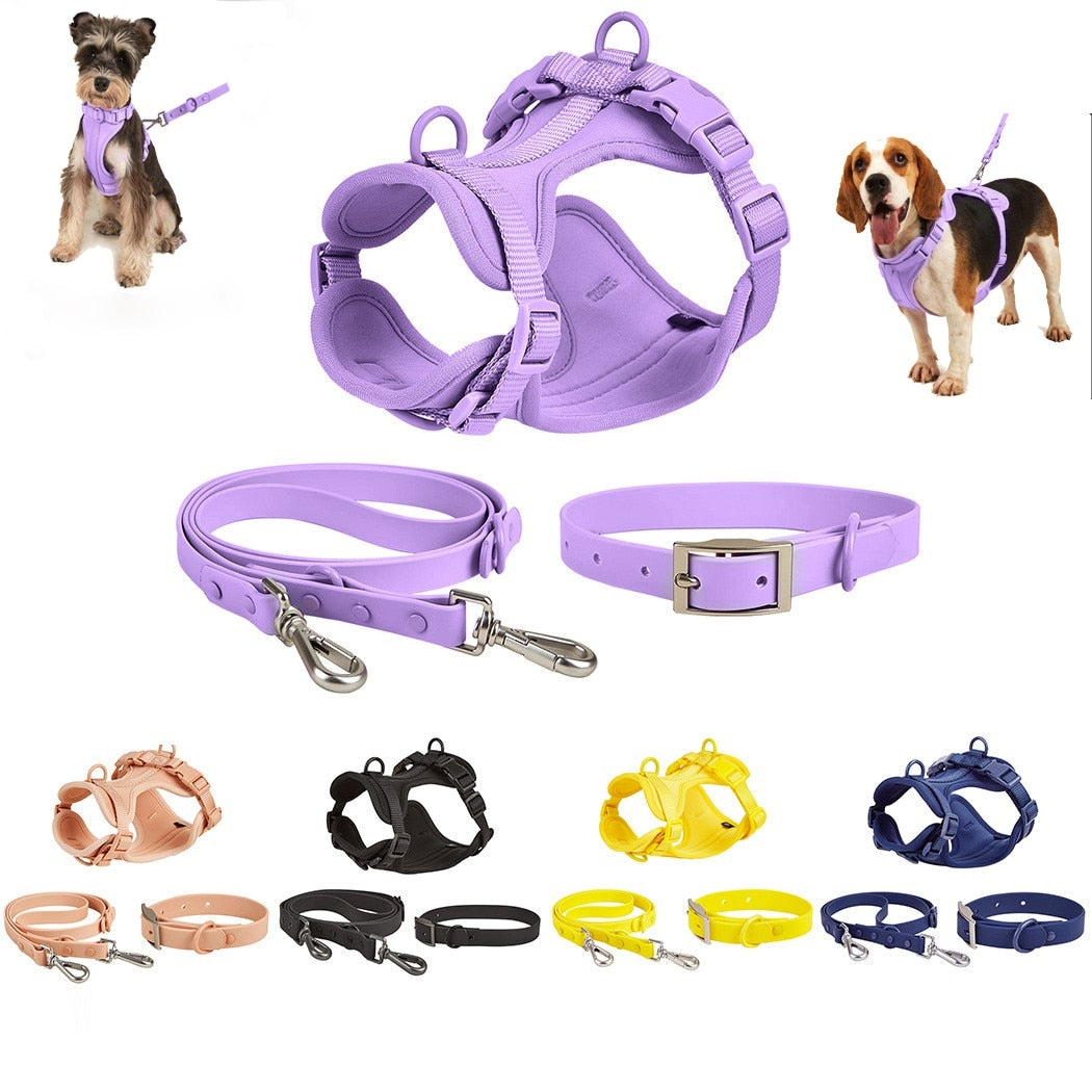 Dog Harness & Leash Set