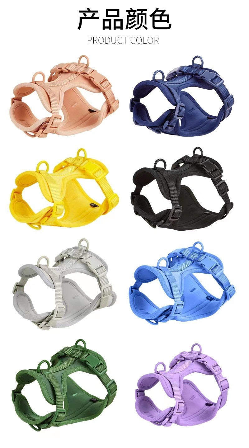 Dog Harness & Leash Set