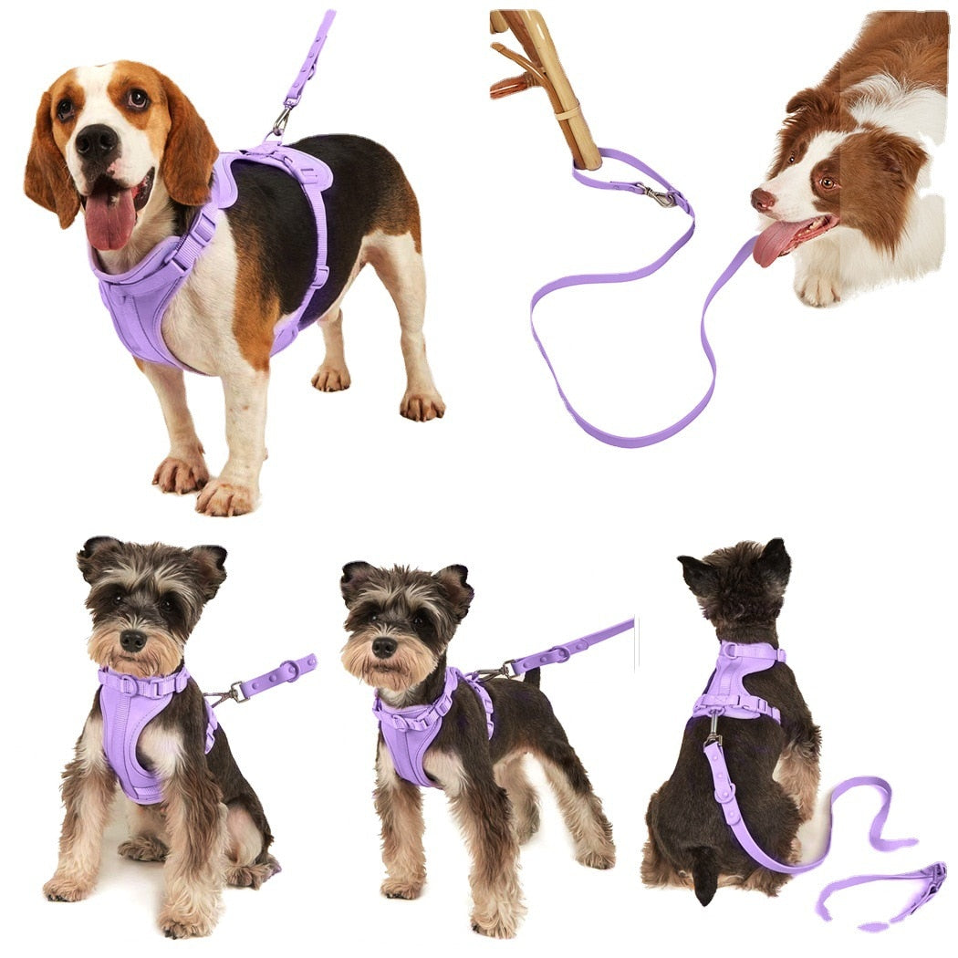 Dog Harness & Leash Set