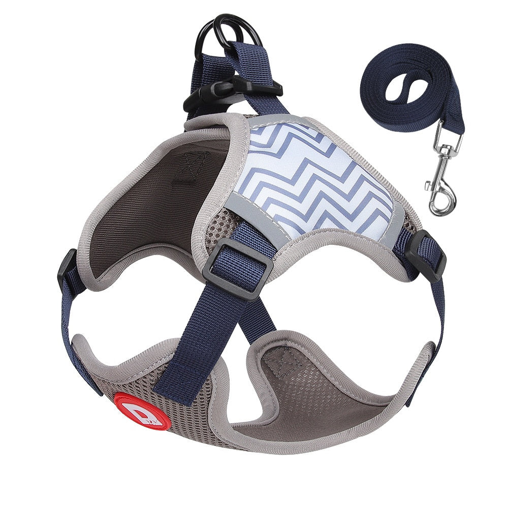 Dog Harness and Leash Set