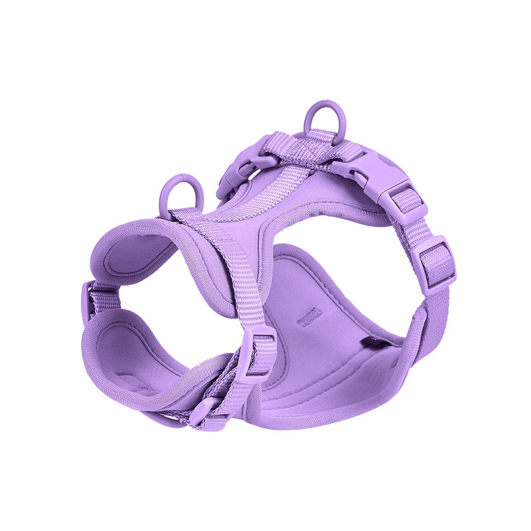 Dog Harness & Leash Set