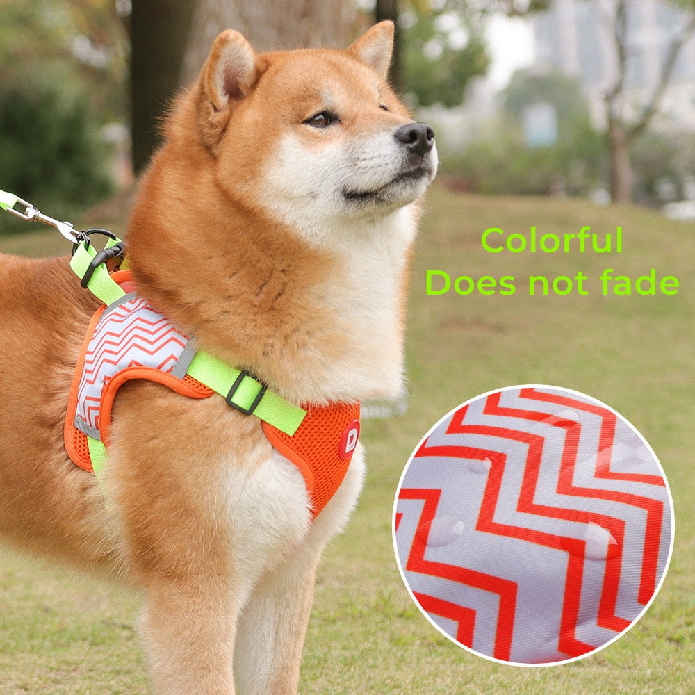 Dog Harness and Leash Set