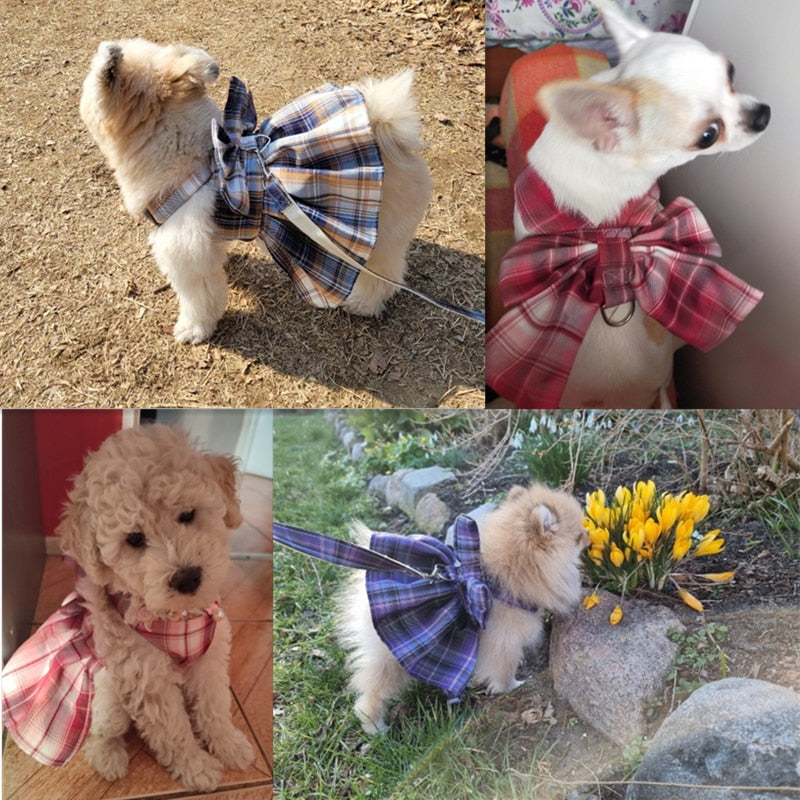 Bow Dog Collar Skirt Pet Harness