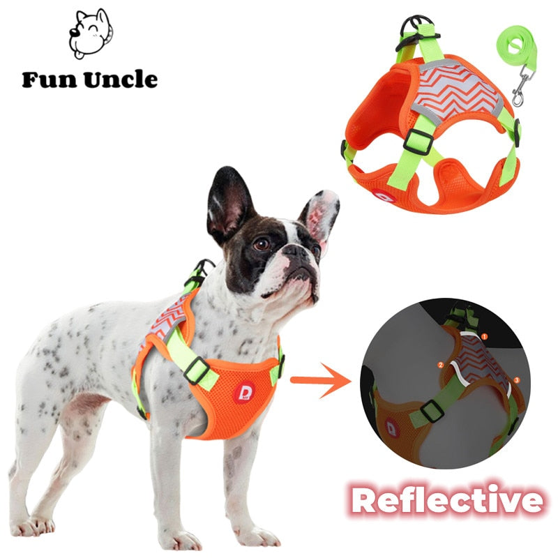 Dog Harness and Leash Set