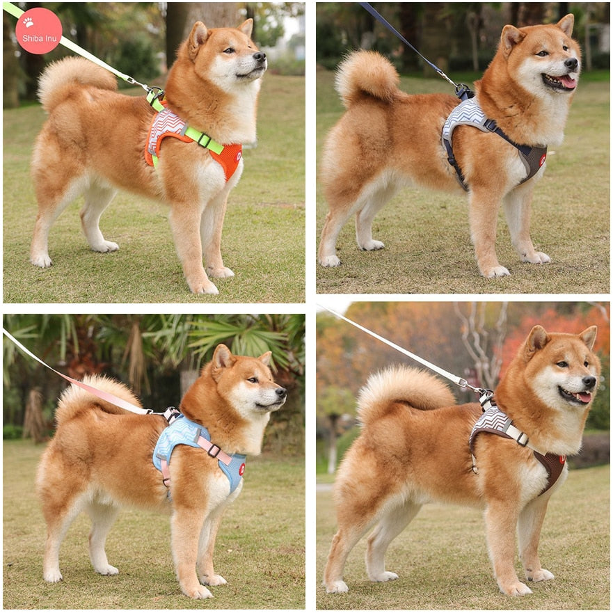 Dog Harness and Leash Set