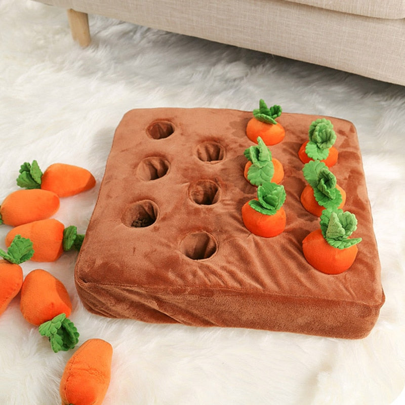 Pet Supplies : wowspeed Dog Carrot Plush Toy, Pull Radish Dog Chew Toy, Pet  Interaction Pull The Carrot Stuffed Toy, Interactive Snuffle Mat Plush  Vegetable Field, Vegetable Chew Toy Snuffle Mat for