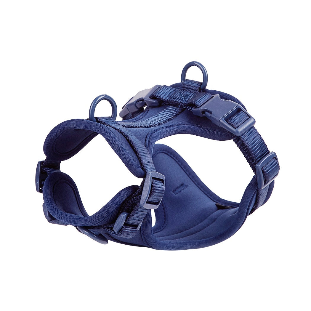 Dog Harness & Leash Set