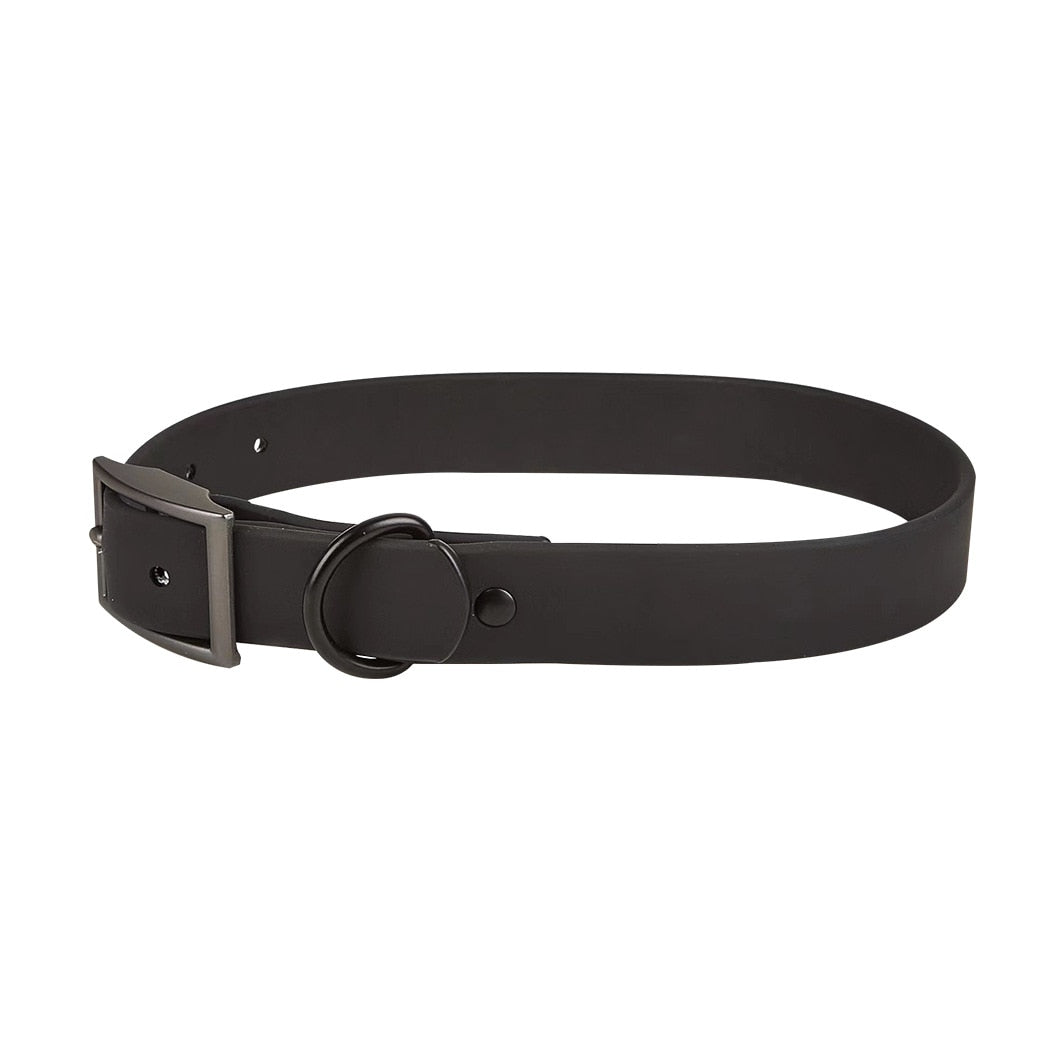 Dog Harness & Leash Set